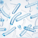 Bacillus Ferment (Postbiotic)