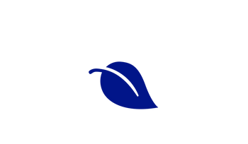 Blue leaf icon