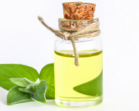 Peppermint Oil