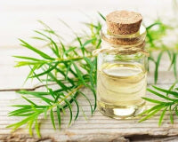 Tea Tree Leaf Oil