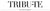 This is a picture of a TRIBU-TE logo.