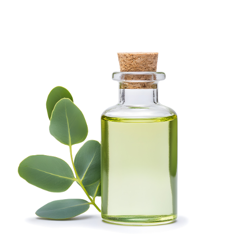 Eucalyptus Oil