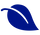 Blue leaf icon